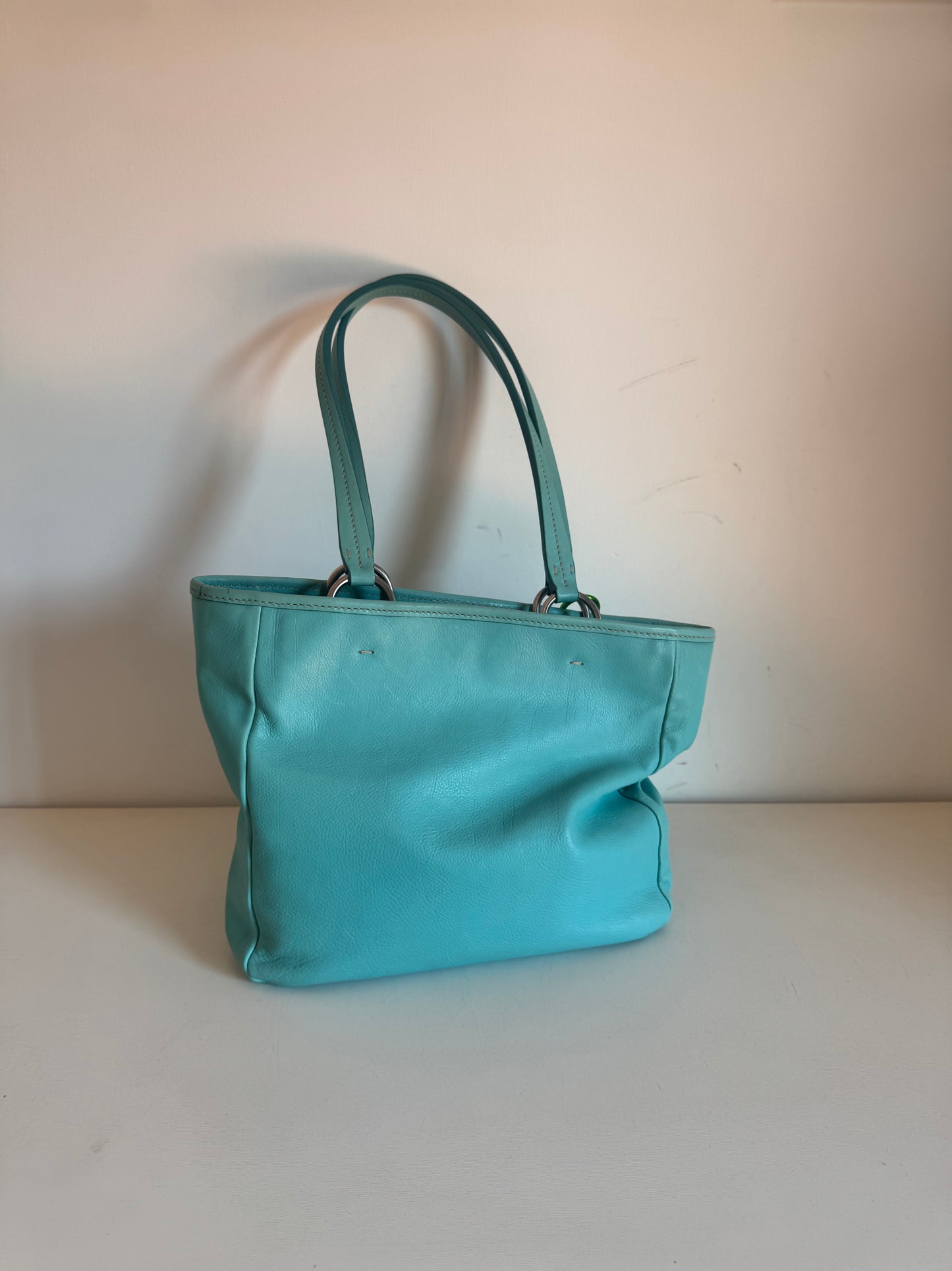 Miu Miu bag 🩵