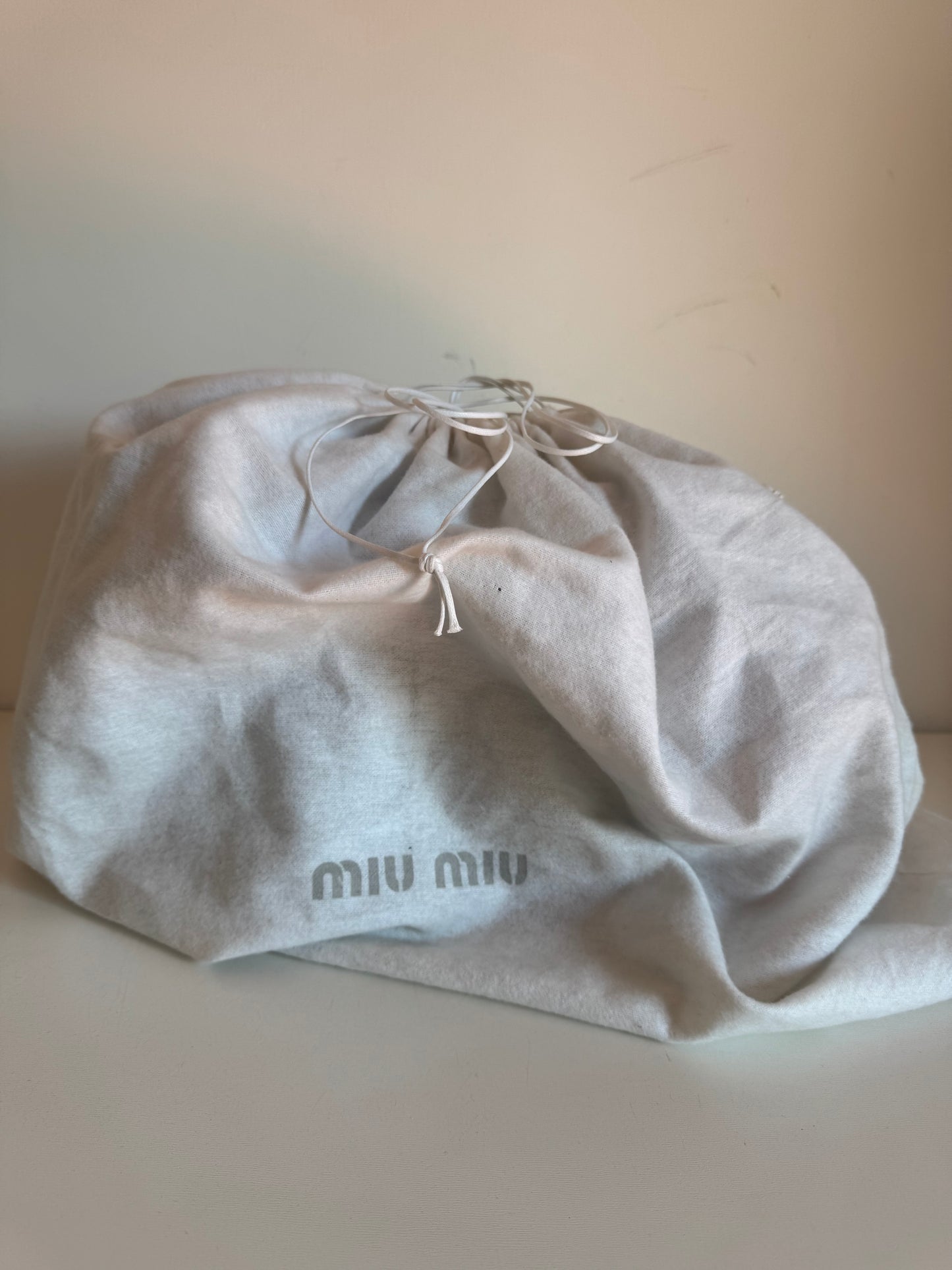 Miu Miu bag 🩵