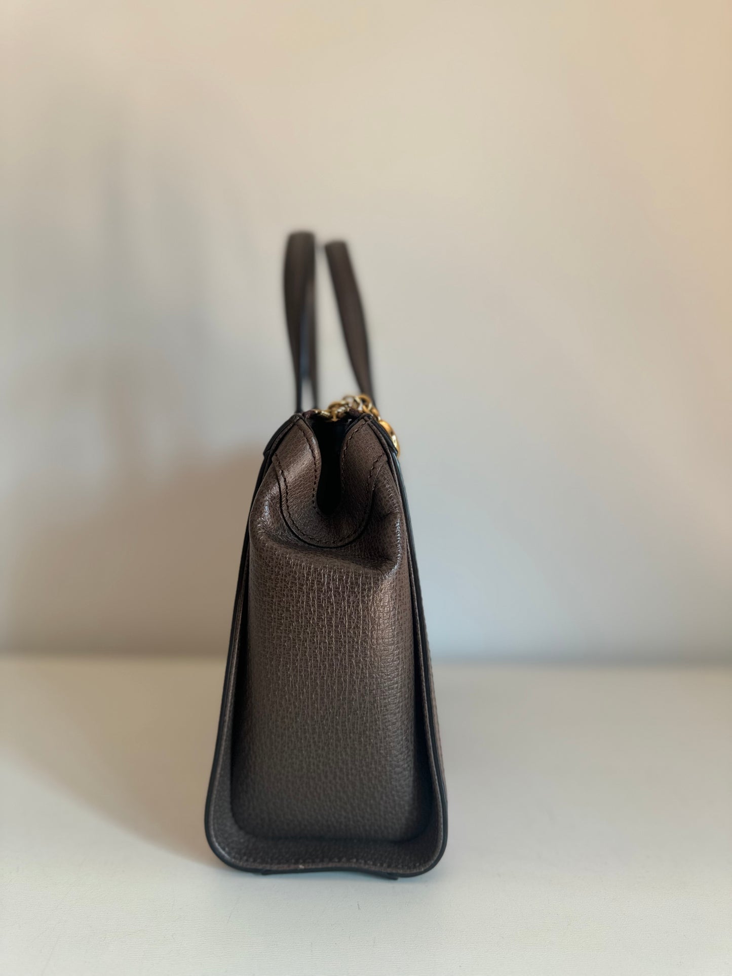 Gucci Ophidia bag