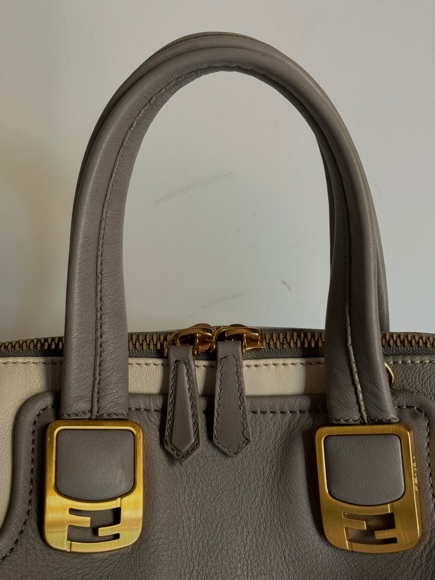 Fendi Chameleon bag