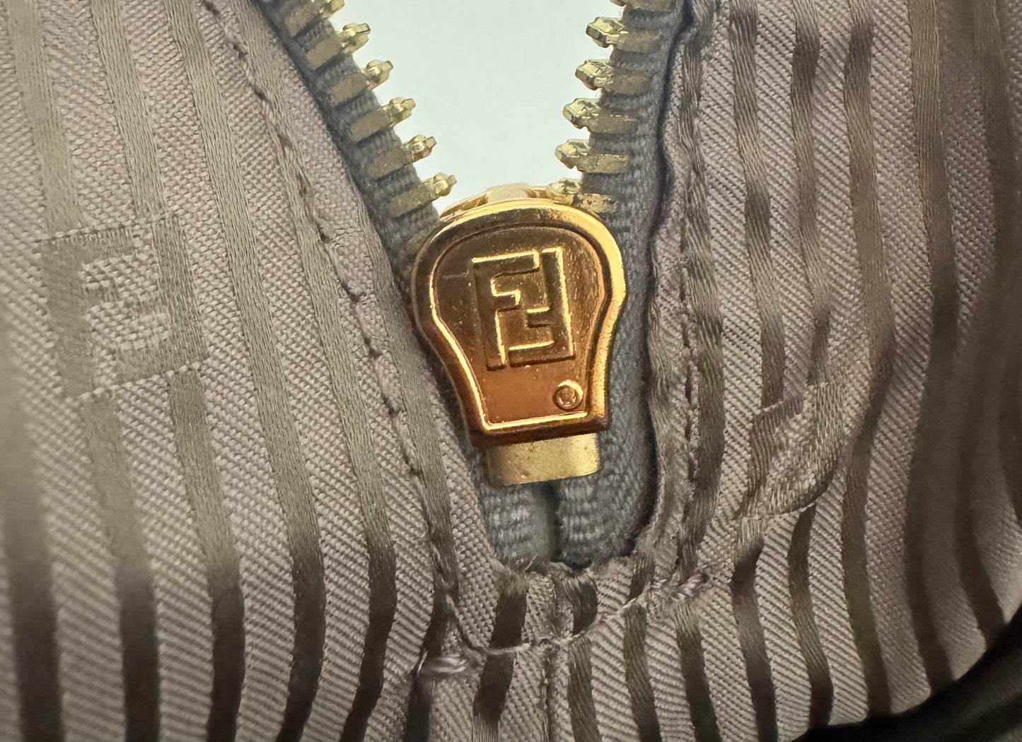 Fendi Chameleon bag