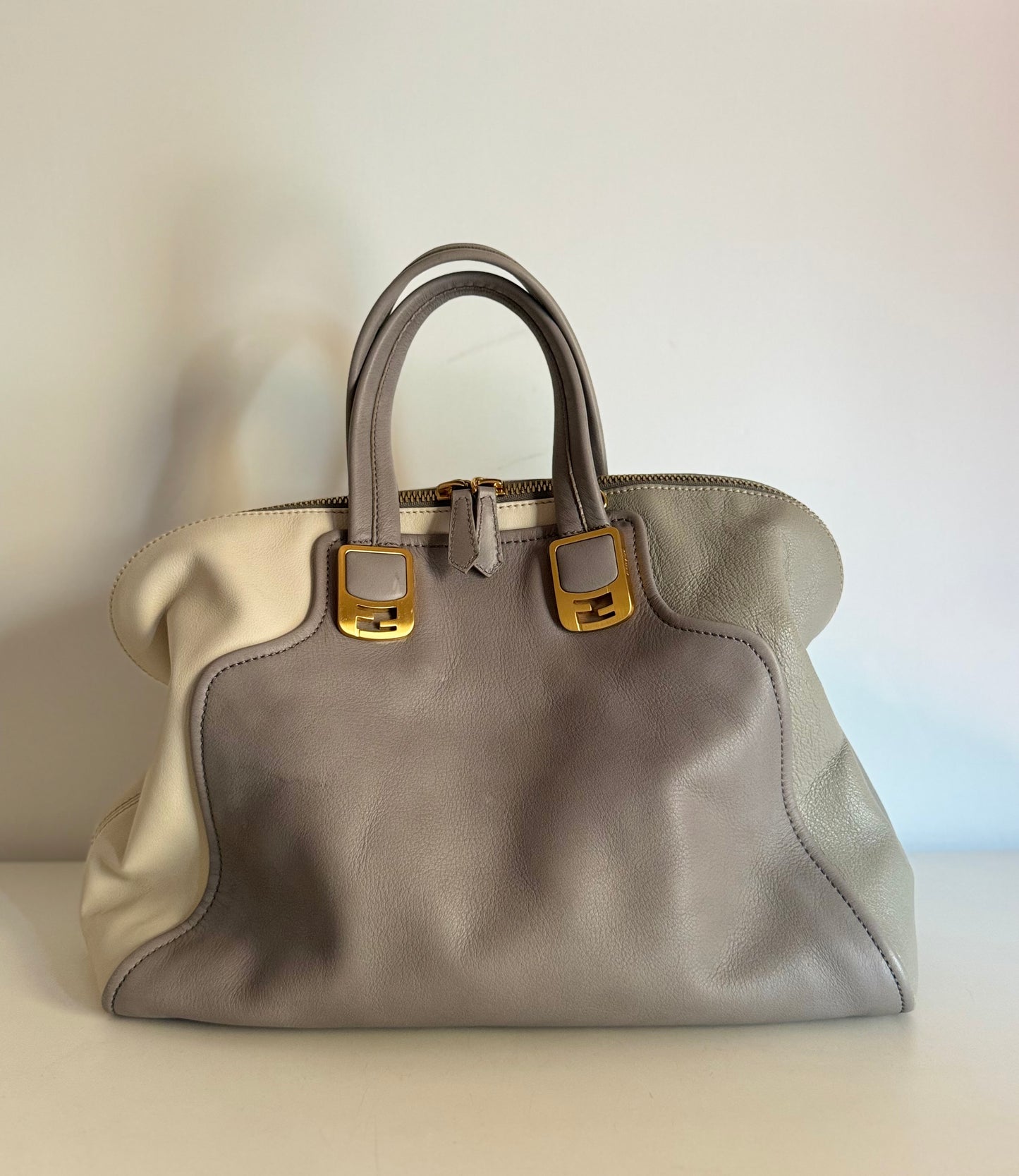 Fendi Chameleon bag